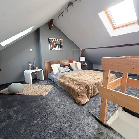Hébergement de vacances Superbe Maison 4 Avec Jardin Marcq-en-Barœul